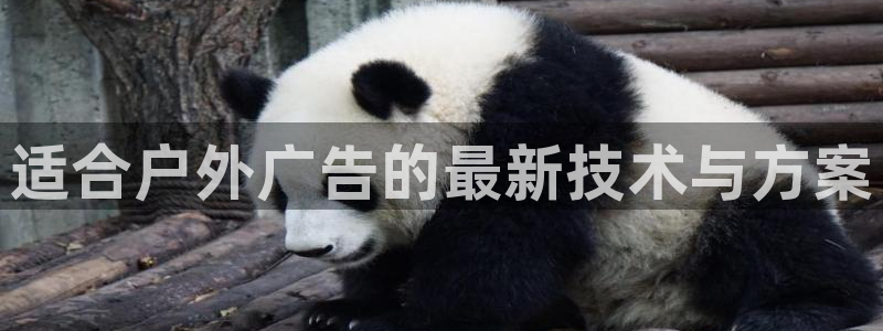 杏宇平台总代理是谁：适合户外广告的最新技术与方案