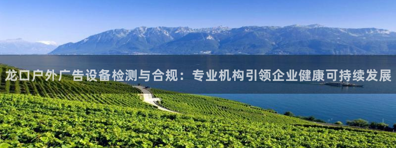 杏宇平台怎么样赚钱：龙口户外广告设备检测与合规：专业机构引领企业健康可持续发展