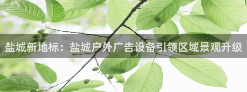 杏宇平台登录步骤：盐城新地标：盐城户外广告设备引领区域景观升级