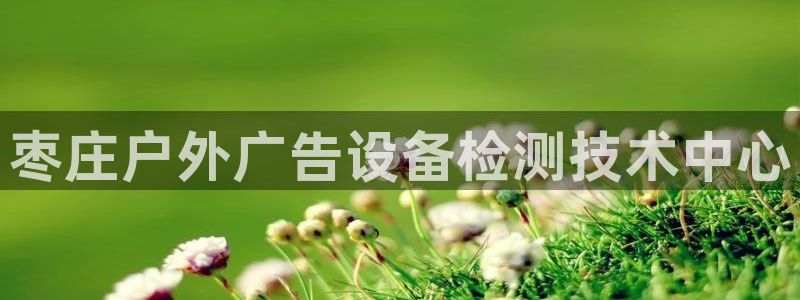 杏宇平台注册地址：枣庄户外广告设备检测技术中心