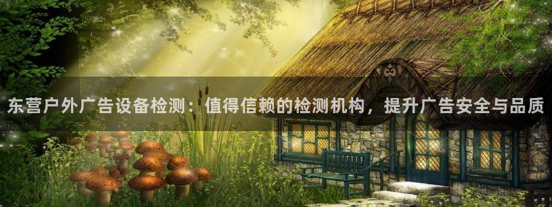 杏宇平台好吗：东营户外广告设备检测：值得信赖的检测机构，提升广告安全与品质