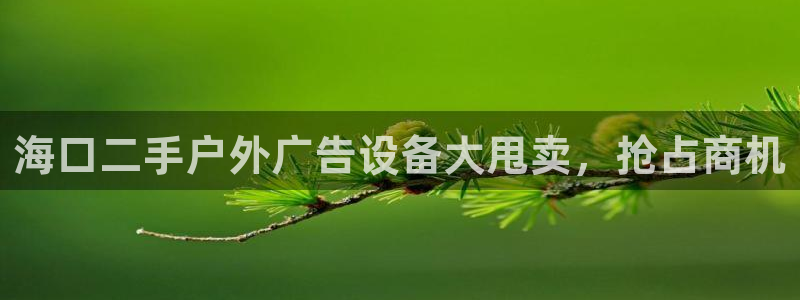 杏宇官方平台官网