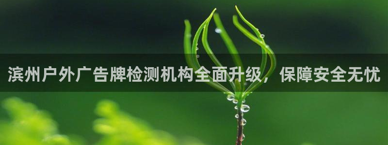 杏宇平台测速链接