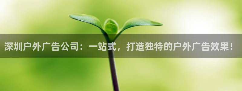 杏宇平台总代理