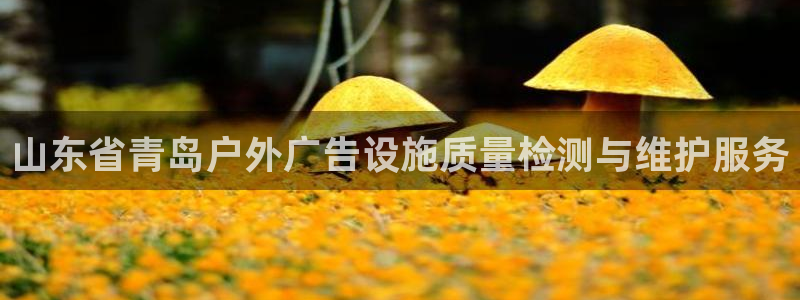 杏宇平台测速链接：山东省青岛户外广告设施质量检测与维护服务