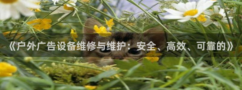 杏宇平台代理怎么赚钱的：《户外广告设备维修与维护：安全、高效、可靠的》