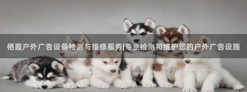 杏宇平台主管：栖霞户外广告设备检测与维修服务|专业检测和维护您的户外广告设施