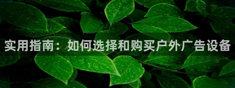 杏宇平台代理怎么赚钱